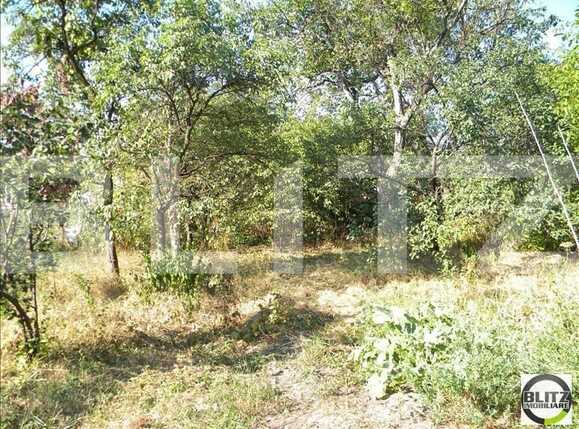 Casa de vânzare 2 camere Dambul Rotund - 17889CV | BLITZ Cluj-Napoca | Poza5