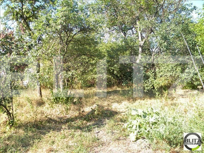 Casa de vânzare 2 camere Dambul Rotund - 17889CV | BLITZ Cluj-Napoca | Poza5