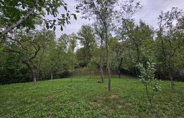 Casa la cheie, teren de 1600 mp, schimb cu apartament!