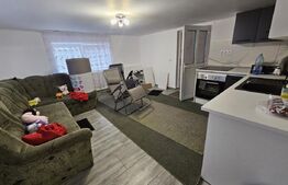 Casa la cheie, teren de 1600 mp, schimb cu apartament!