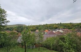 Casa la cheie, teren de 1600 mp, schimb cu apartament!