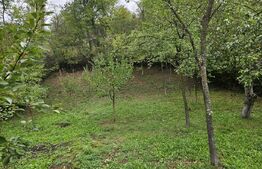 Casa la cheie, teren de 1600 mp, schimb cu apartament!