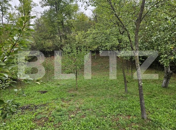 Casa de vânzare 5 camere Exterior Vest - 178925CV | BLITZ Cluj-Napoca | Poza15