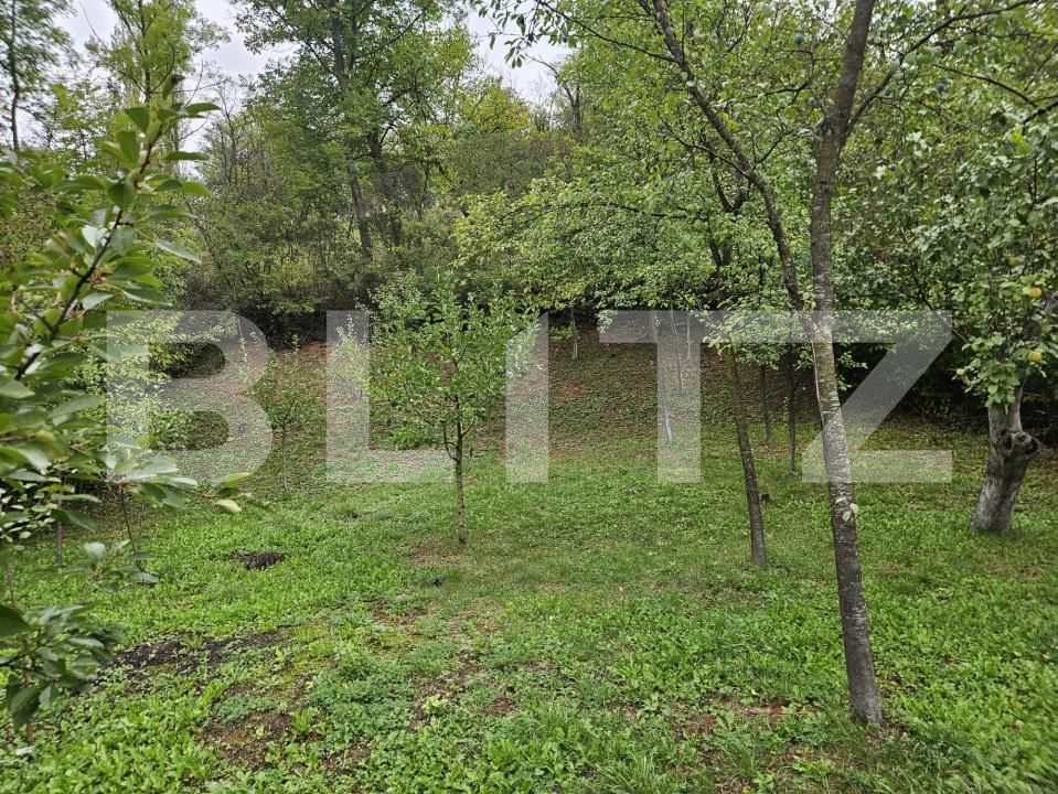 Casa de vânzare 5 camere Exterior Vest - 178925CV | BLITZ Cluj-Napoca | Poza8
