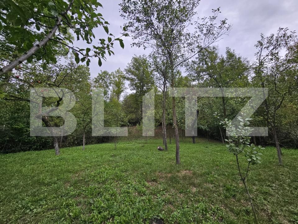 Casa de vânzare 5 camere Exterior Vest - 178925CV | BLITZ Cluj-Napoca | Poza8