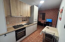 Apartament cu 2 camere, 34 mp, zona Porii 