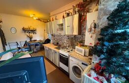 Apartament cu 1 camera decomandata, 31 mp, zona Porii