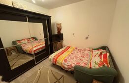 Apartament cu 1 camera decomandata, 31 mp, zona Porii