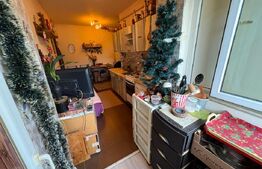 Apartament cu 1 camera decomandata, 31 mp, zona Porii