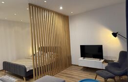 Apartament cu 1 camera, 45 mp, parcare subteran opțional, zona Centrala