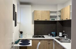 Apartament cu 1 camera, 45 mp, parcare subteran opțional, zona Centrala