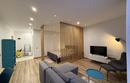 Apartament cu 1 camera, 45 mp, parcare subteran opțional, zona Centrala