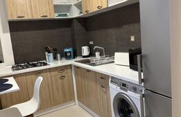 Apartament cu 1 camera, 45 mp, parcare subteran opțional, zona Centrala