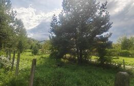 Teren cu AC pe Valea Capriorii Feleacu