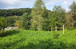 Teren cu AC pe Valea Capriorii Feleacu