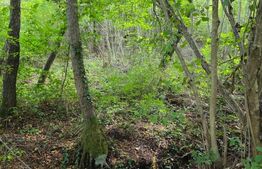 Teren cu AC pe Valea Capriorii Feleacu