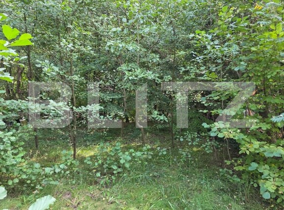 Teren de vânzare Feleacu - 178988TV | BLITZ Cluj-Napoca | Poza7