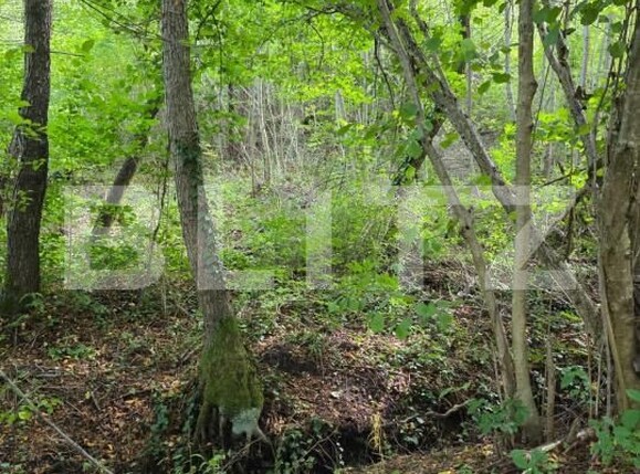 Teren de vânzare Feleacu - 178988TV | BLITZ Cluj-Napoca | Poza8