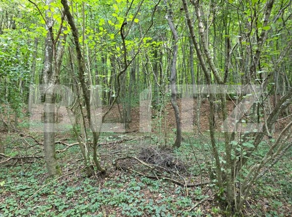 Teren de vânzare Feleacu - 178988TV | BLITZ Cluj-Napoca | Poza6