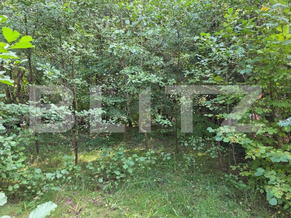 Teren de vânzare Feleacu - 178988TV | BLITZ Cluj-Napoca | Poza7