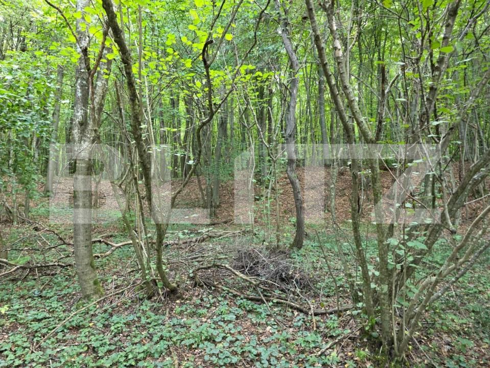 Teren de vânzare Feleacu - 178988TV | BLITZ Cluj-Napoca | Poza6