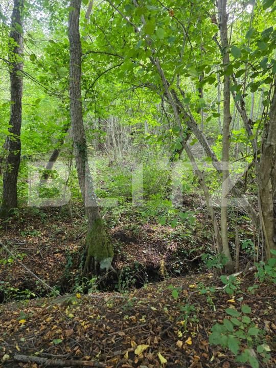 Teren de vânzare Feleacu - 178988TV | BLITZ Cluj-Napoca | Poza8