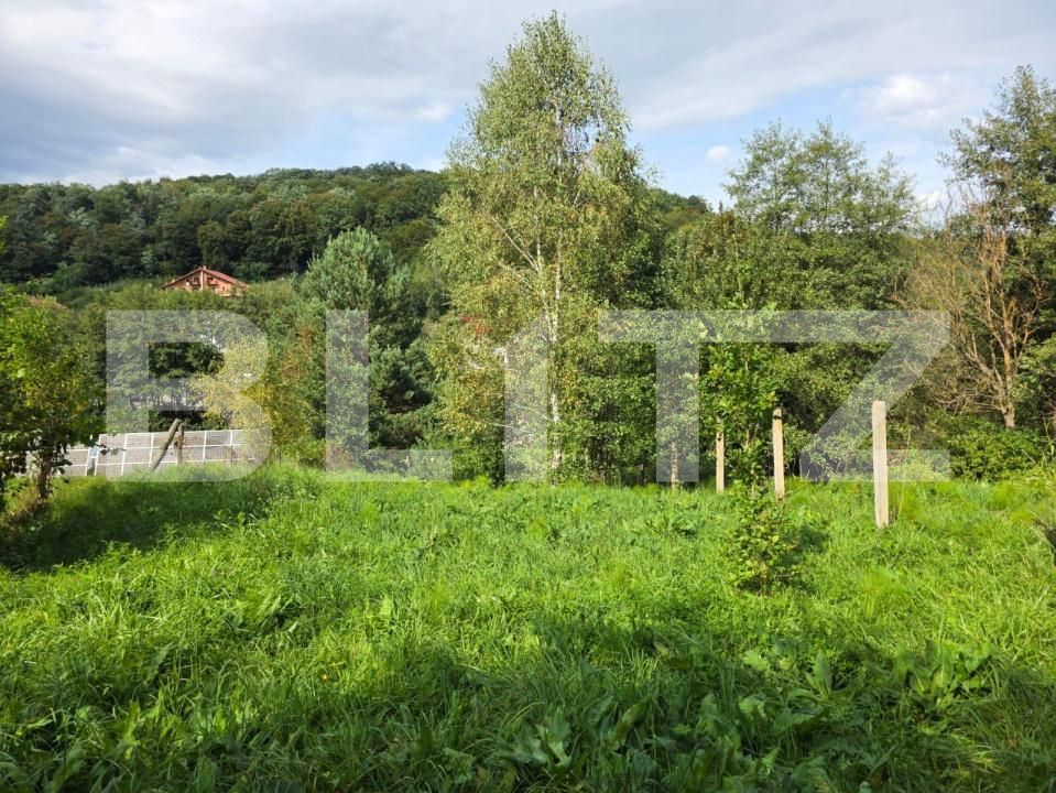 Teren de vânzare Feleacu - 178988TV | BLITZ Cluj-Napoca | Poza5