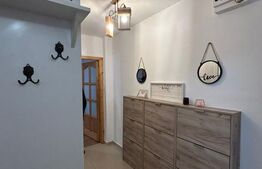 Apartament cu 2 camere, (regim hotelier), complet mobilat, zona Triaj