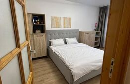 Apartament cu 2 camere, (regim hotelier), complet mobilat, zona Triaj