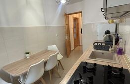 Apartament cu 2 camere, (regim hotelier), complet mobilat, zona Triaj