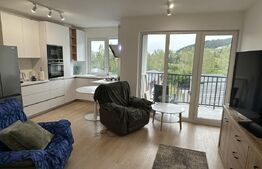 Apartament cu 2 camere, 58 mp, prima închiriere, parcare subterană, zona Tăuți 