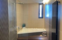 Apartament Ultrafinisat,Mobilat, Utilat, 150 mp,Andrei Muresanu