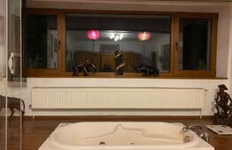 Apartament unic in vilă interbelică de 3 camere, 98mp cu grădină