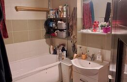 Apartament 2 camere, parter inalt ,zona Porii 