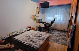 Apartament 2 camere, parter inalt ,zona Porii 
