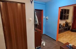 Apartament 2 camere, parter inalt ,zona Porii 