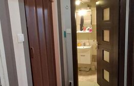 Apartament 2 camere, parter inalt ,zona Porii 