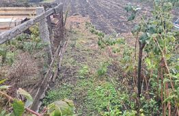 Vând casă cu teren generos – Hălchiu, aproape de Brașov