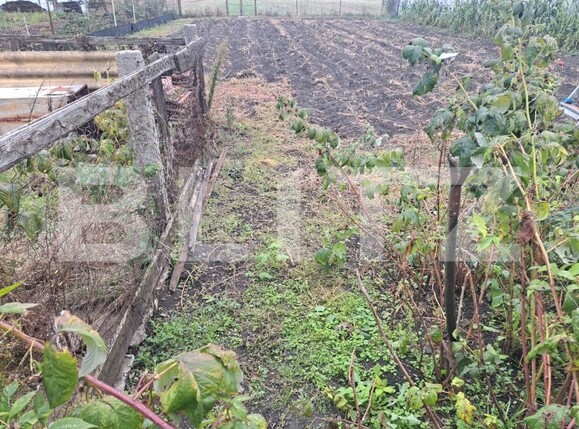 Casa de vânzare 3 camere Hălchiu - 179051CV | BLITZ Brașov | Poza5