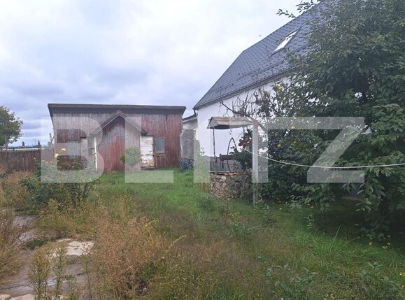 Casa de vânzare 3 camere Hălchiu - 179051CV | BLITZ Brașov | Poza3