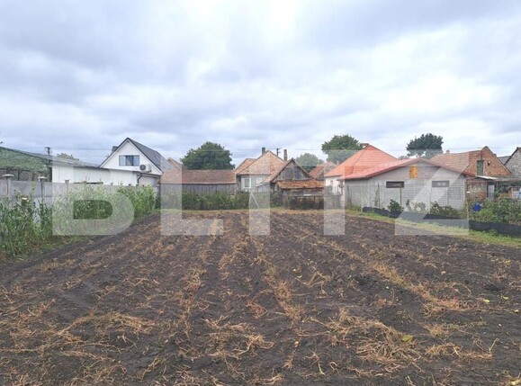 Casa de vânzare 3 camere Hălchiu - 179051CV | BLITZ Brașov | Poza2