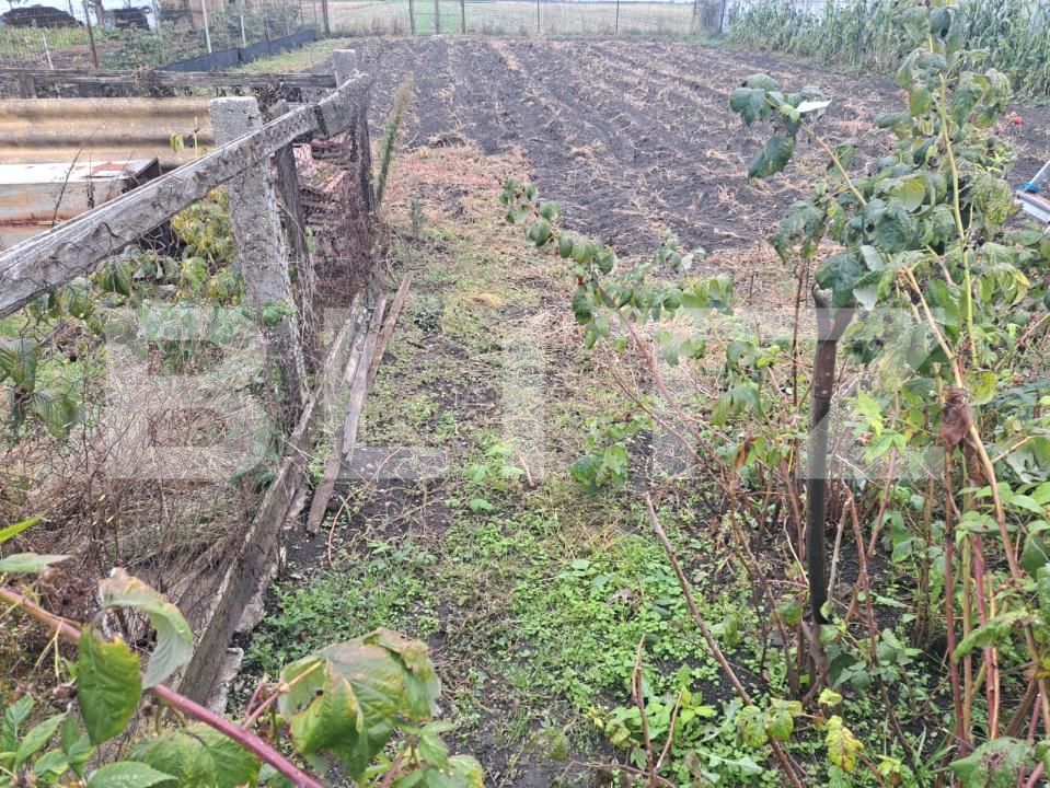 Casa de vânzare 3 camere Hălchiu - 179051CV | BLITZ Brașov | Poza5