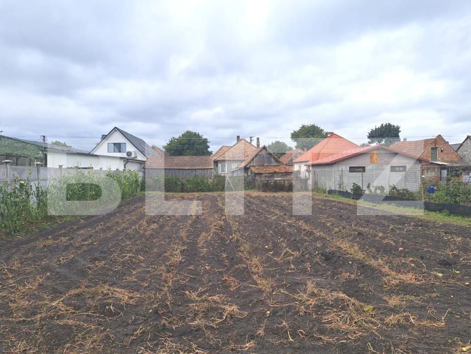 Casa de vânzare 3 camere Hălchiu - 179051CV | BLITZ Brașov | Poza2