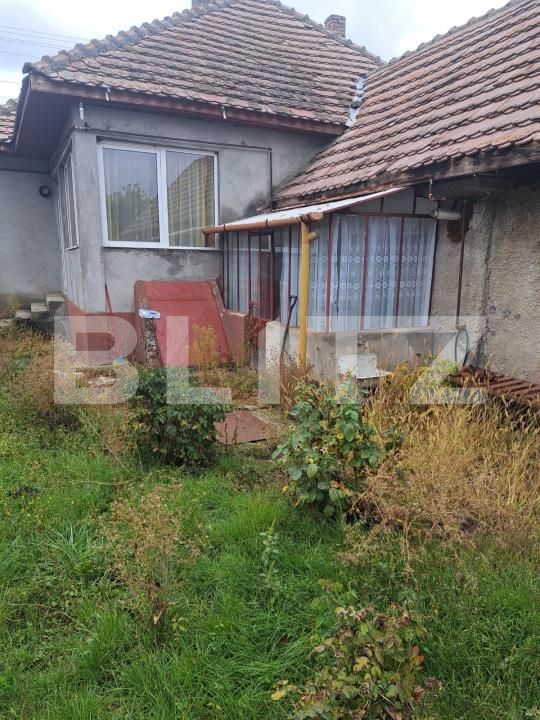 Casa de vânzare 3 camere Hălchiu - 179051CV | BLITZ Brașov | Poza4