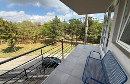 Apartament tip studio, 40 mp, Centru