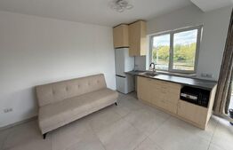Apartament tip studio, 40 mp, Centru