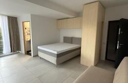 Apartament tip studio, 40 mp, Centru