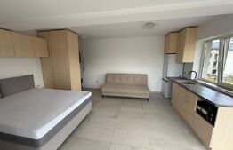 Apartament tip studio, 40 mp, Centru