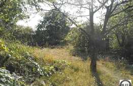 Casa de vanzare, 195 mp, teren 700 mp, front 19 ml, zona Dambul Rotund!