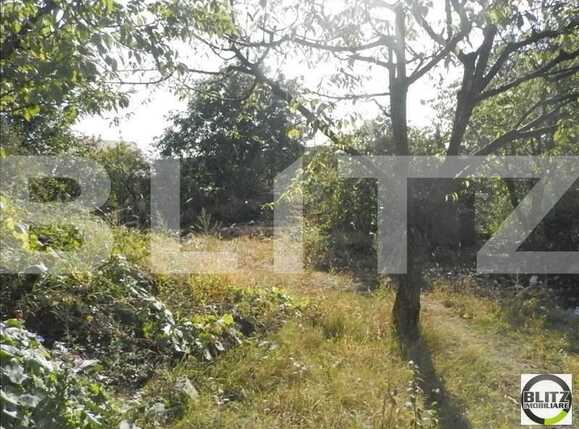 Casa de vânzare 1 camera Dambul Rotund - 17909CV | BLITZ Cluj-Napoca | Poza10